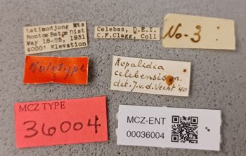 Media type: image;   Entomology 36004 Aspect: labels